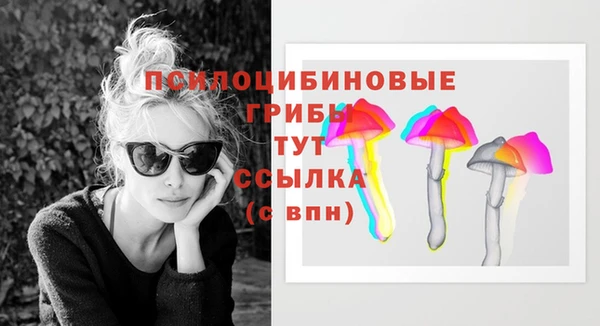 трава Аркадак