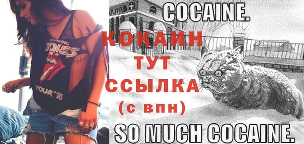 трава Аркадак