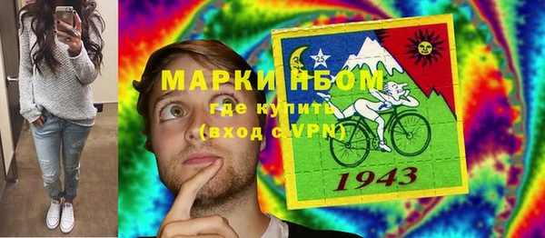 трава Аркадак
