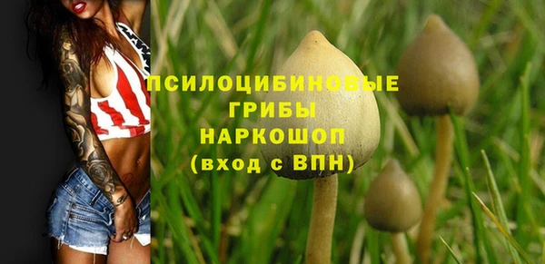синтетический гашиш Армянск