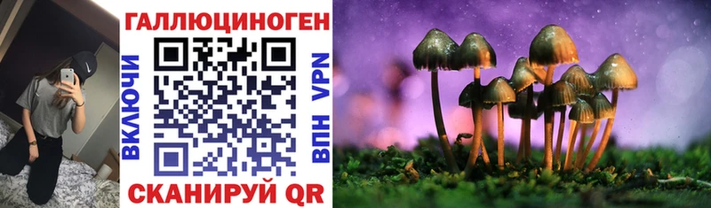 Галлюциногенные грибы мицелий  Кубинка 