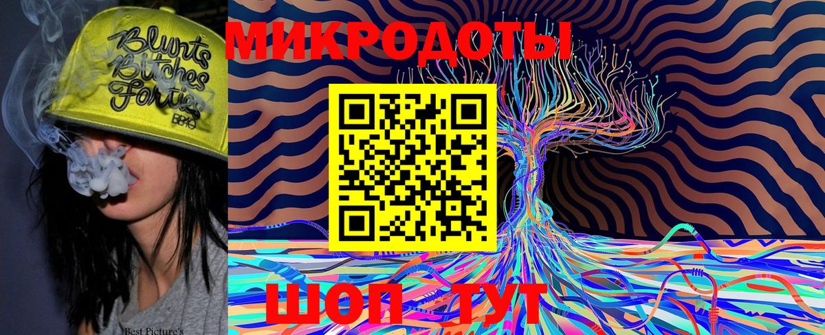 Псилоцибиновые грибы прущие грибы Кубинка