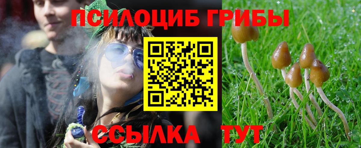 Кубинка  магазин продажи   Галлюциногенные грибы мухоморы  Вход с VPN  Галлюциногенные грибы прущие грибы 